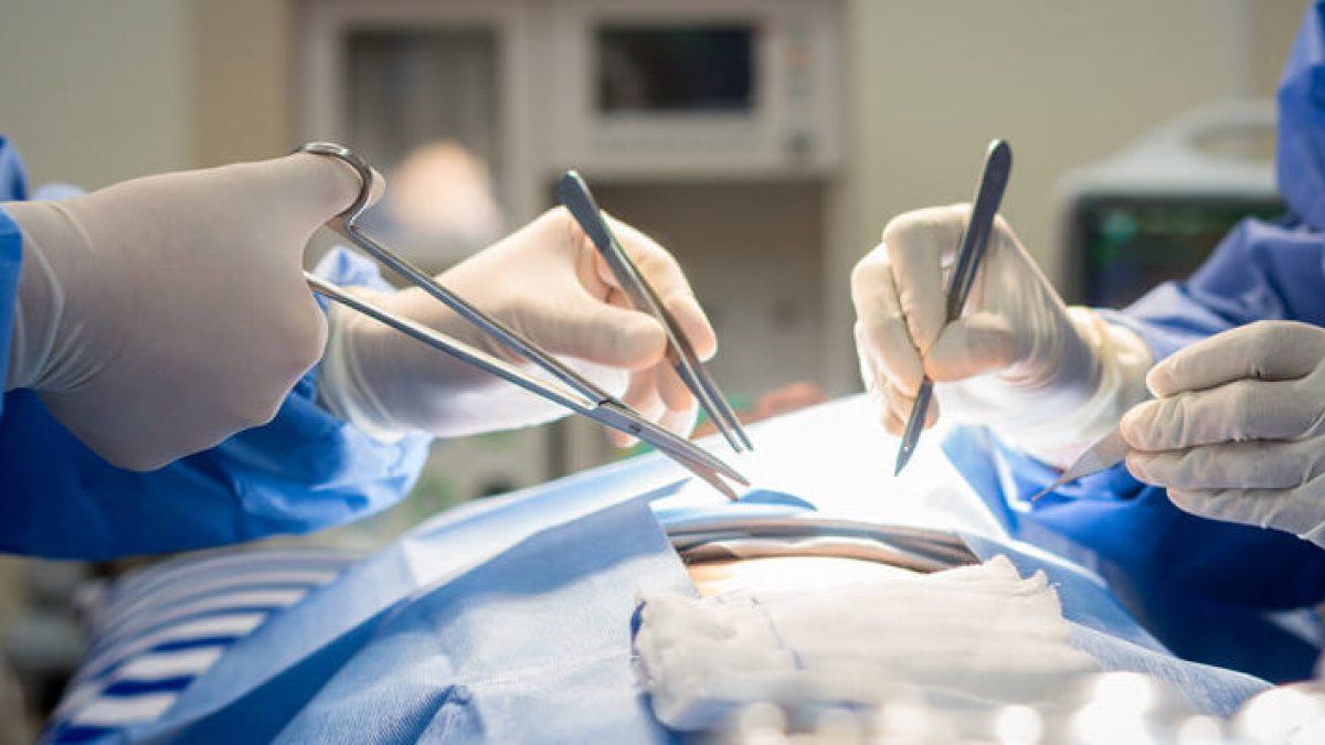 Incort desmiente mitos sobre donación de órganos en República Dominicana